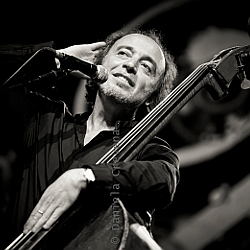 Rosario Bonaccorso